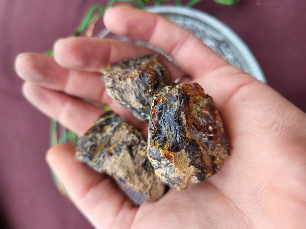 Ambre brut de la Baltique, véritable fossile végétal, pièce d'ambre pour collection de minéraux, lithothérapie ou décoration de la maison