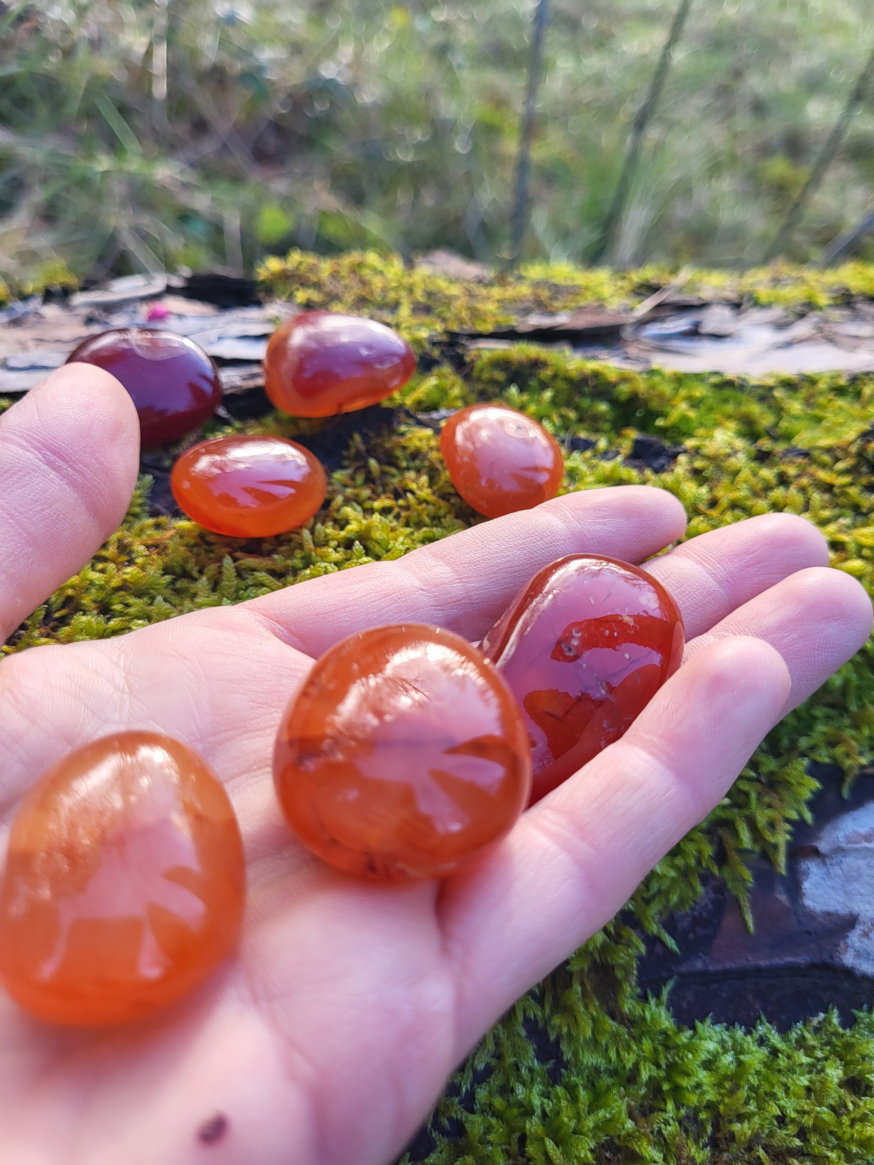 Pierre roulée cornaline, cristaux et minéraux pour la lithothérapie. Cornaline naturelle pour collection et décoration.