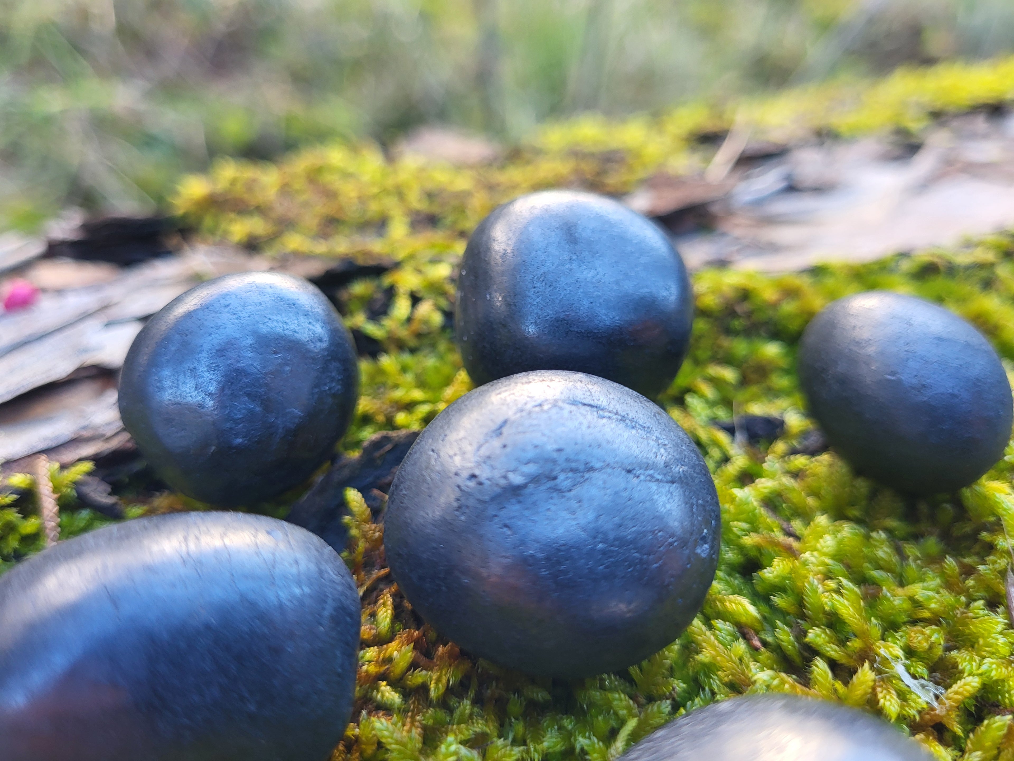 Pierre de shungite roulée, Pierre de protection contre les champs magnétique, cristaux de shungite naturelle.
