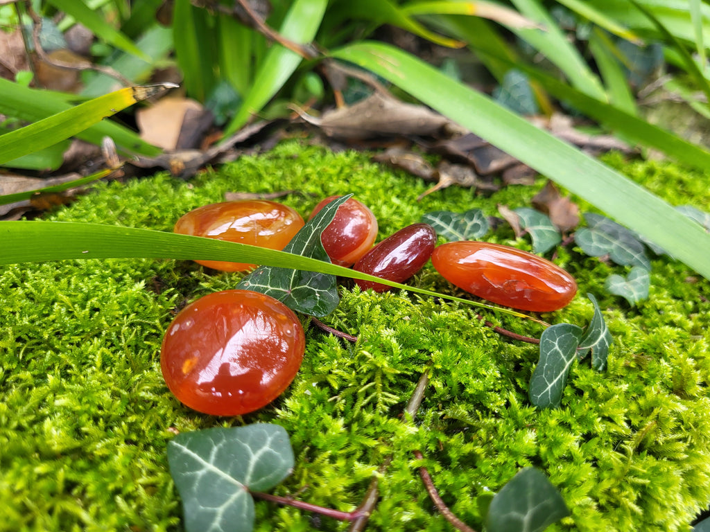 Pierre roulée cornaline, cristaux et minéraux pour la lithothérapie. Cornaline naturelle pour collection et décoration.