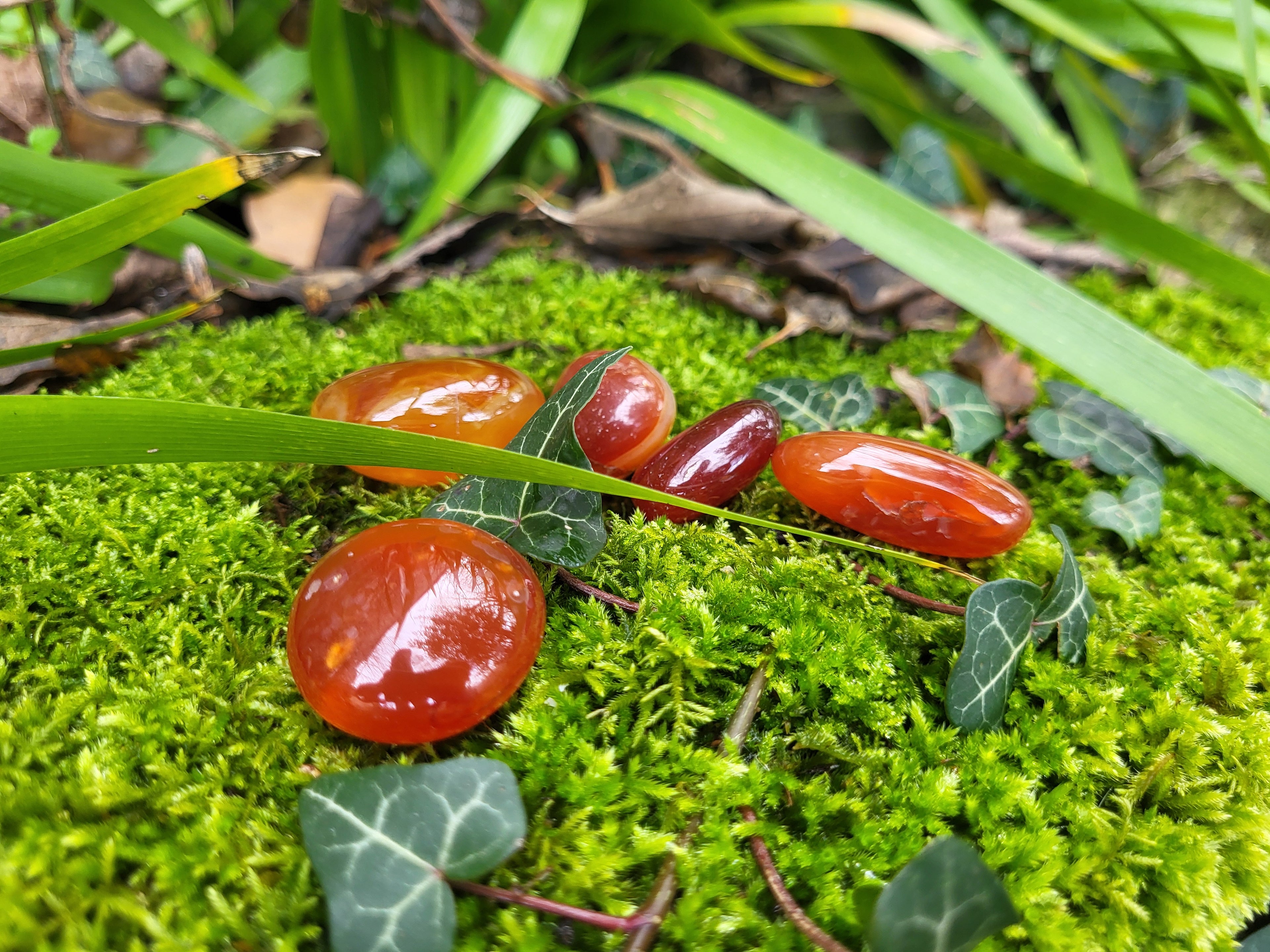 Pierre roulée cornaline, cristaux et minéraux pour la lithothérapie. Cornaline naturelle pour collection et décoration.