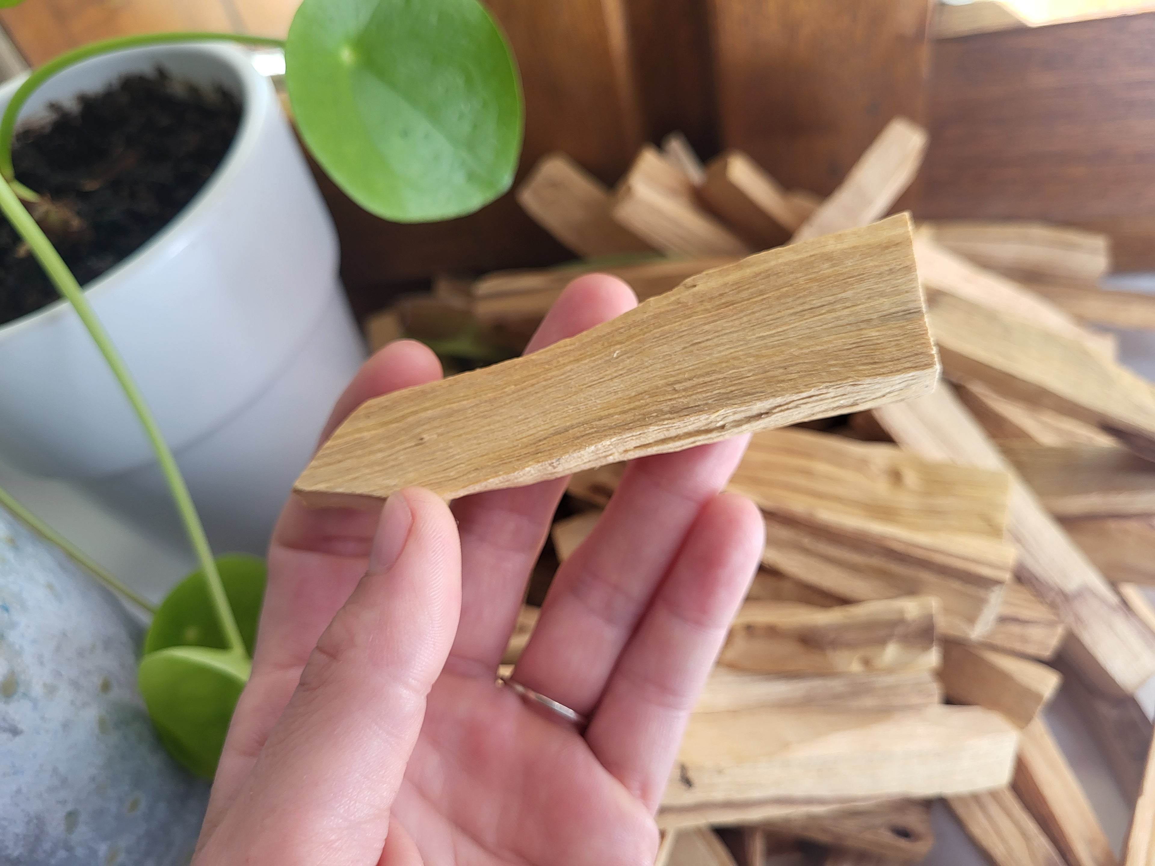 5 Bâtons de Palo Santo, pour purification en lithothérapie, gemme semi-précieuses, pierres précieuses naturelles, pierres naturelles brutes