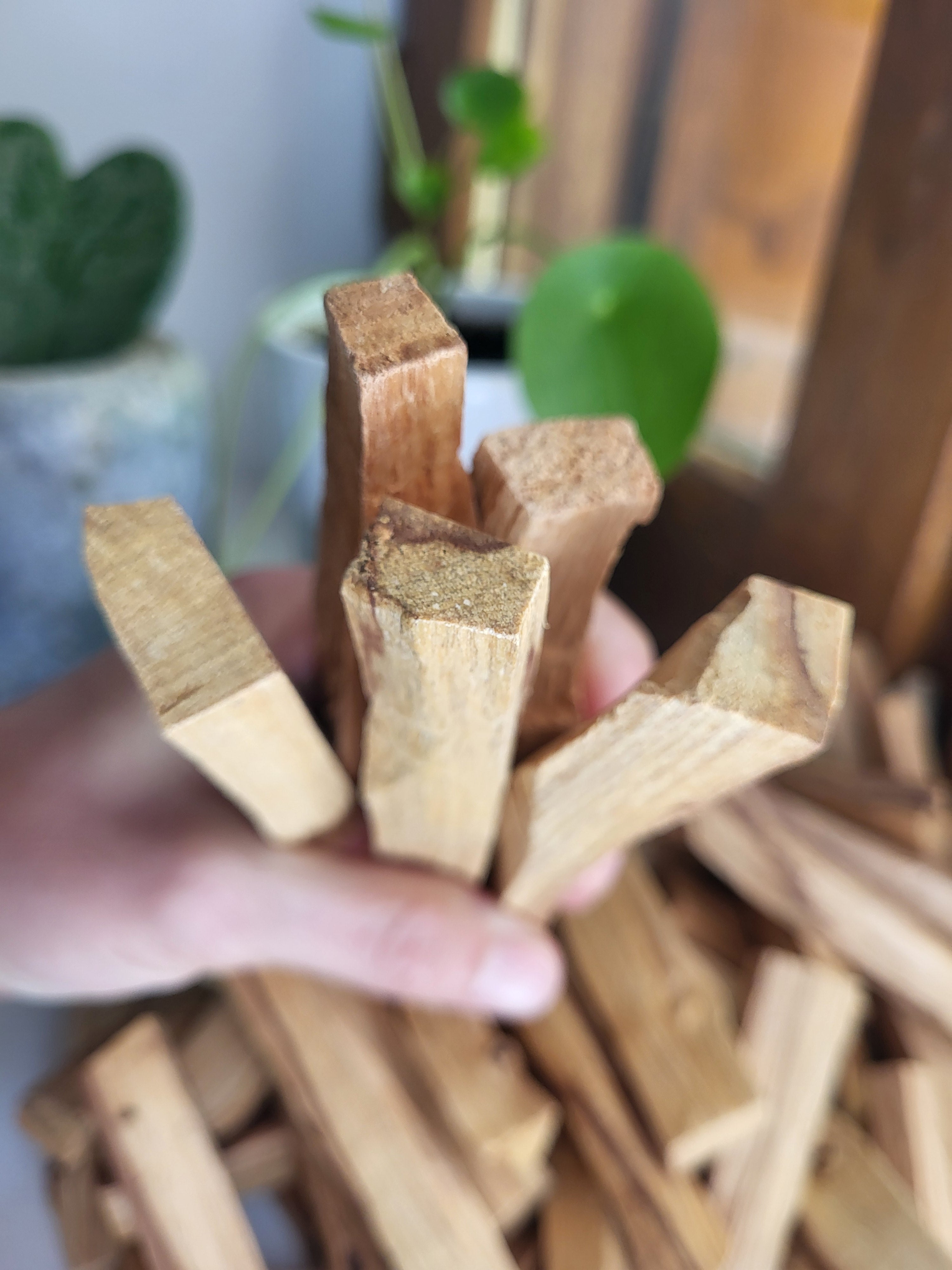 5 Bâtons de Palo Santo, pour purification en lithothérapie, gemme semi-précieuses, pierres précieuses naturelles, pierres naturelles brutes