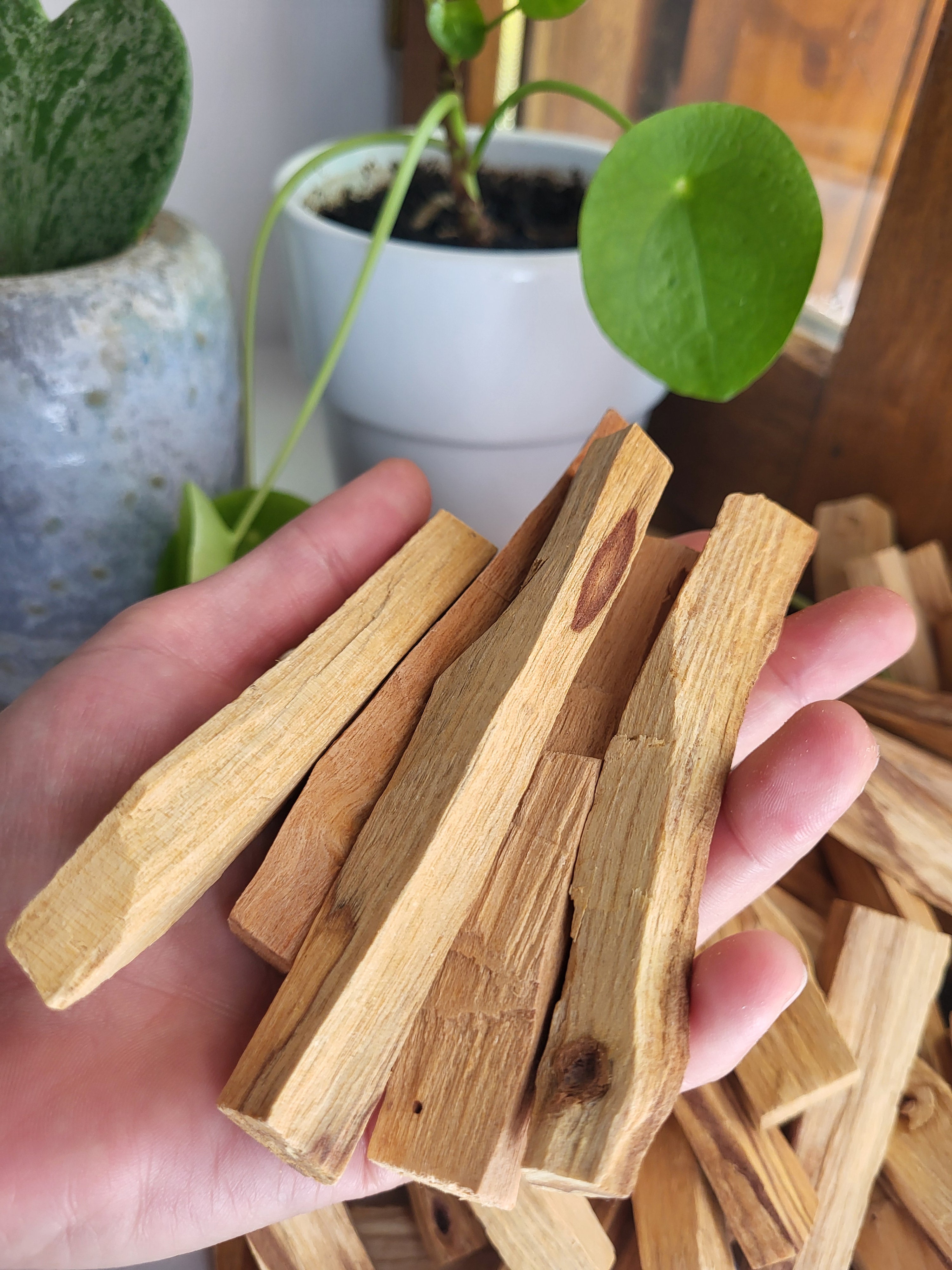 5 Bâtons de Palo Santo, pour purification en lithothérapie, gemme semi-précieuses, pierres précieuses naturelles, pierres naturelles brutes
