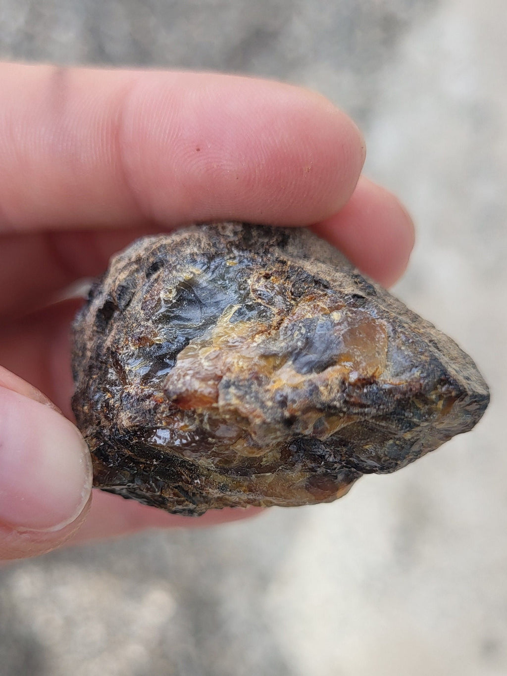 Ambre brut de la Baltique, véritable fossile végétal, pièce d'ambre pour collection de minéraux, lithothérapie ou décoration de la maison