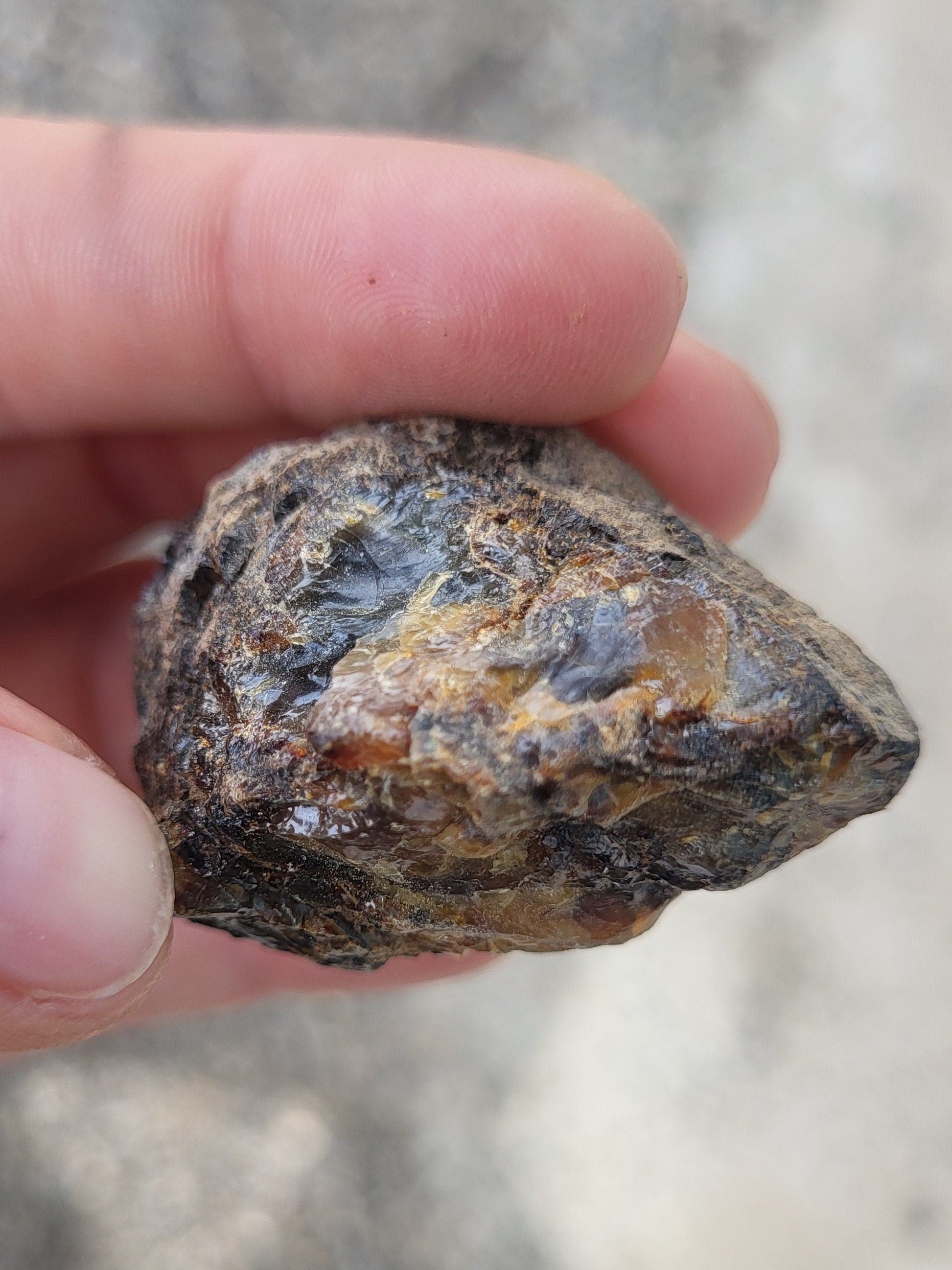 Ambre brut de la Baltique, véritable fossile végétal, pièce d'ambre pour collection de minéraux, lithothérapie ou décoration de la maison