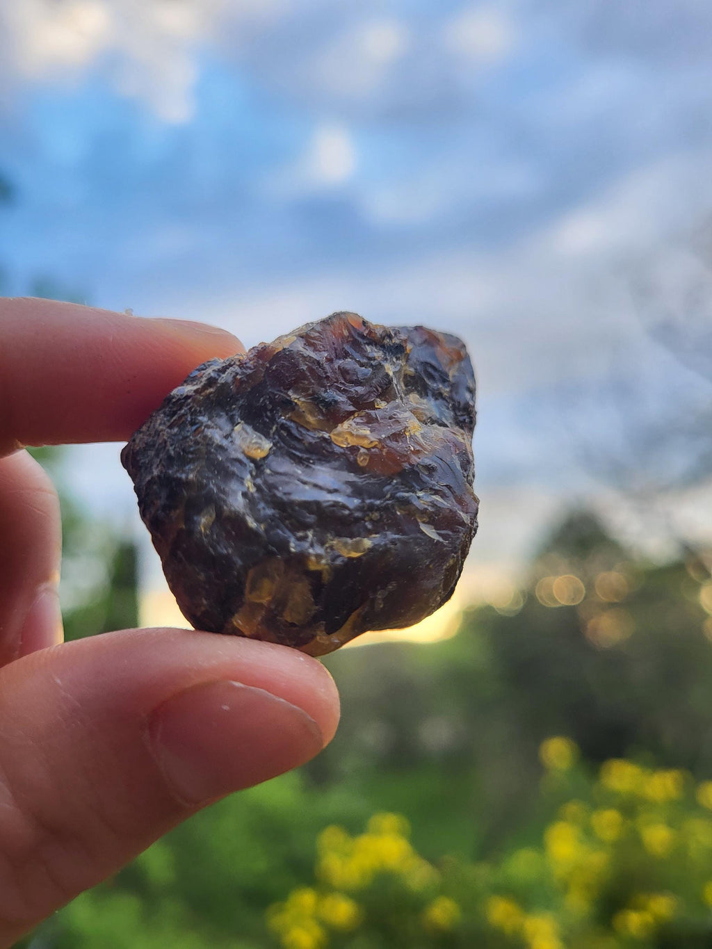 Ambre brut de la Baltique, véritable fossile végétal, pièce d'ambre pour collection de minéraux, lithothérapie ou décoration de la maison