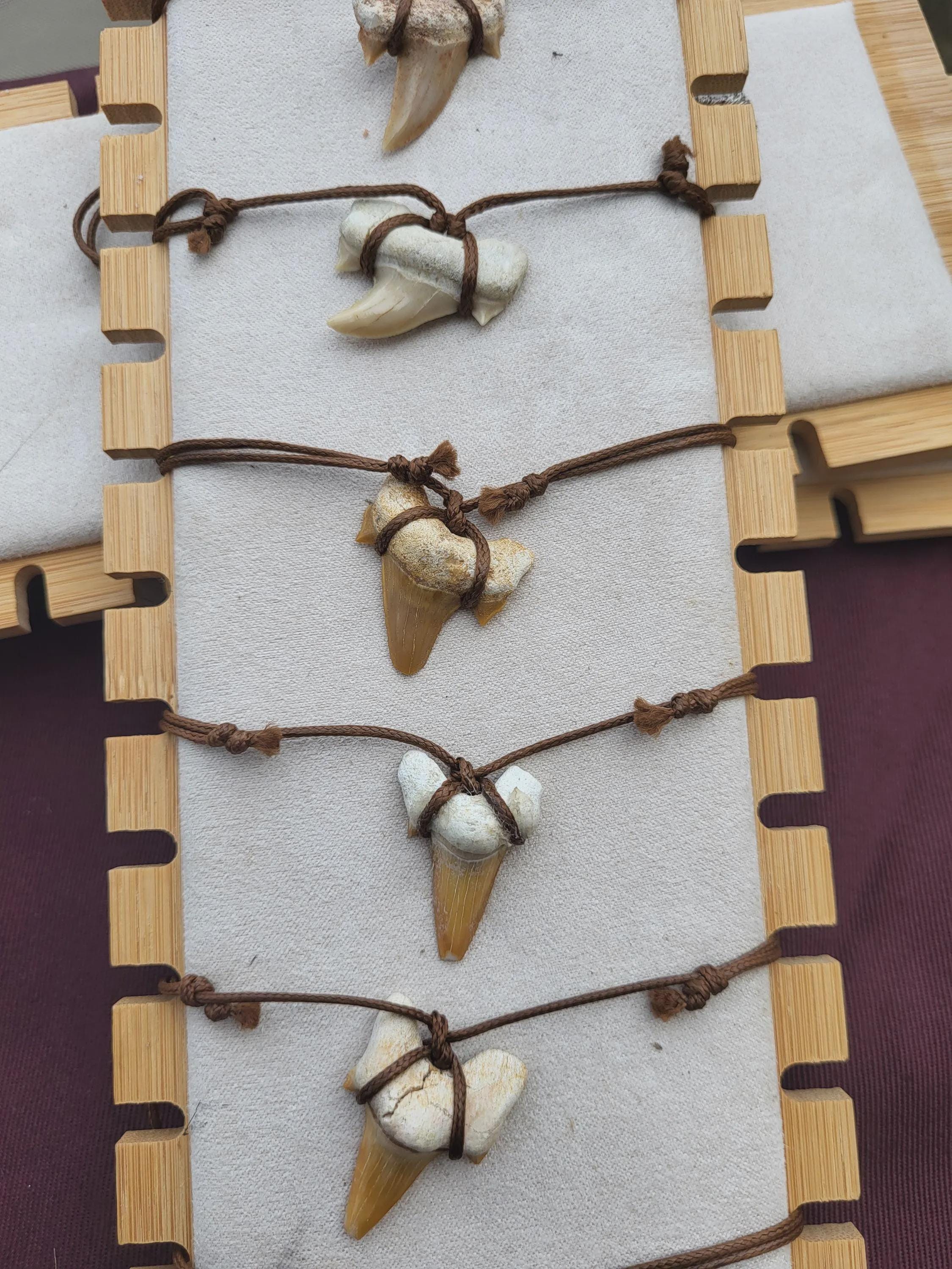 Fossile de dent de requin, collier de dents de requin fossiles, cristaux et minéraux rares pour la lithothérapie, la collection et cadeaux.