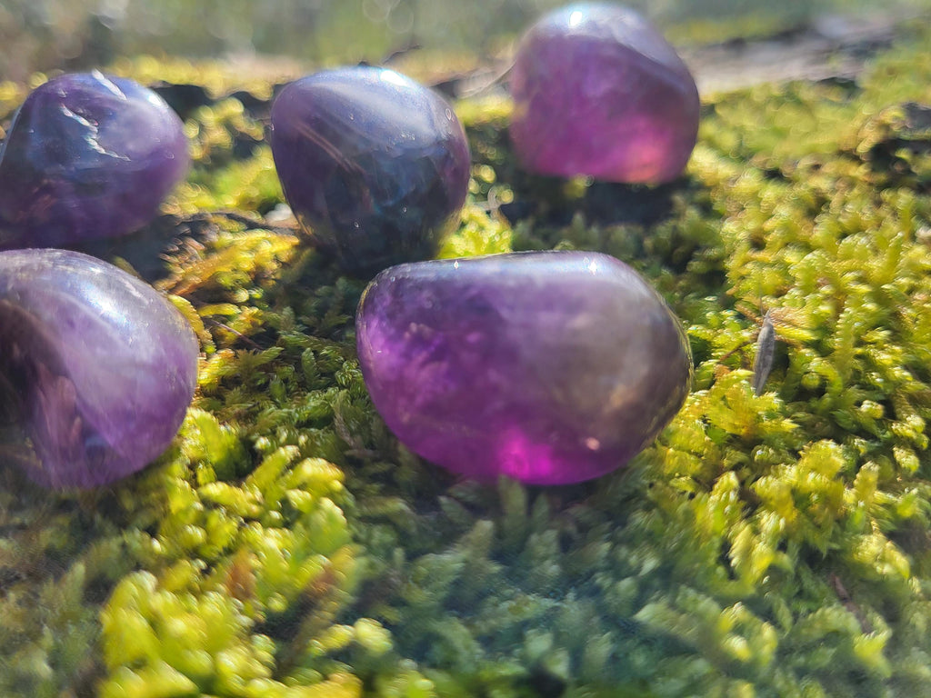 Pierres roulées d'améthyste, pierres naturelles, minéraux et cristaux pour lithothérapie, collection et décoration.