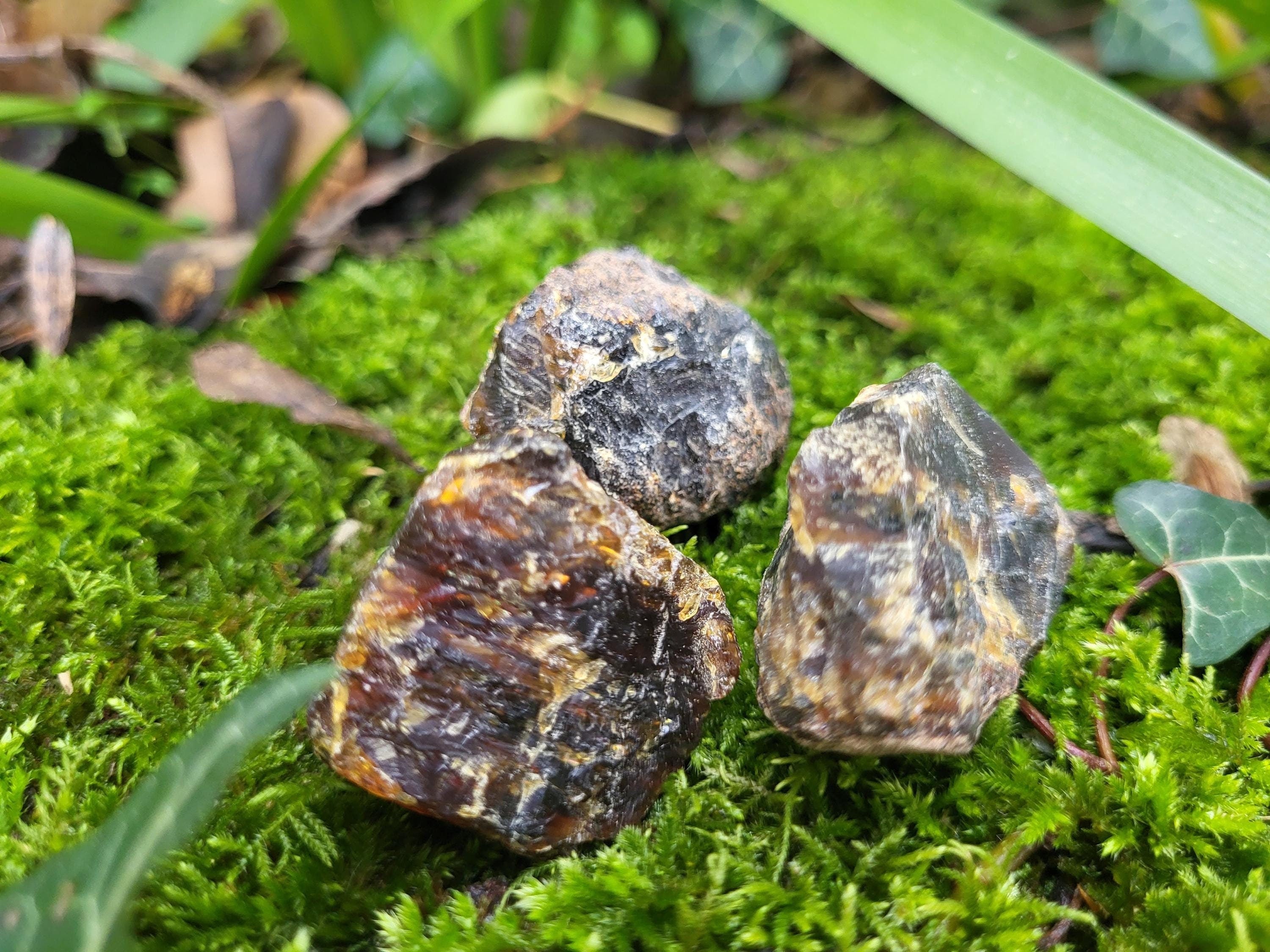 Ambre brut de la Baltique, véritable fossile végétal, pièce d'ambre pour collection de minéraux, lithothérapie ou décoration de la maison
