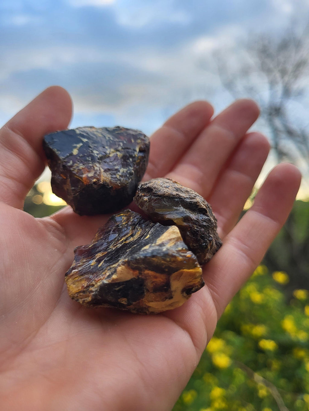 Ambre brut de la Baltique, véritable fossile végétal, pièce d'ambre pour collection de minéraux, lithothérapie ou décoration de la maison