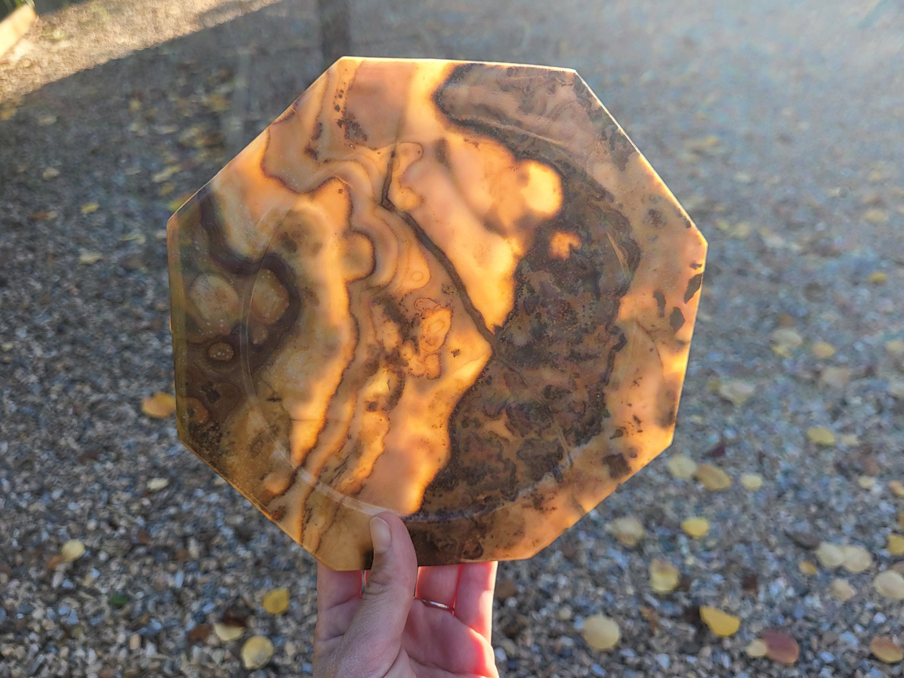 Assiette, plat original de granit fossile avec Ammonites et Orthocéras, objet de collection et de décoration pour la maison et table de noël