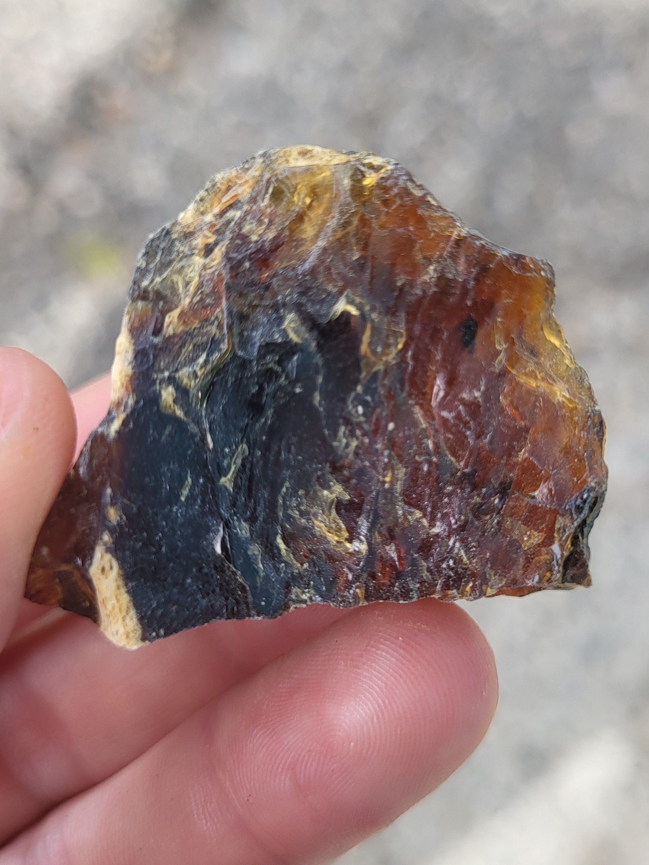 Ambre brut de la Baltique, véritable fossile végétal, pièce d'ambre pour collection de minéraux, lithothérapie ou décoration de la maison