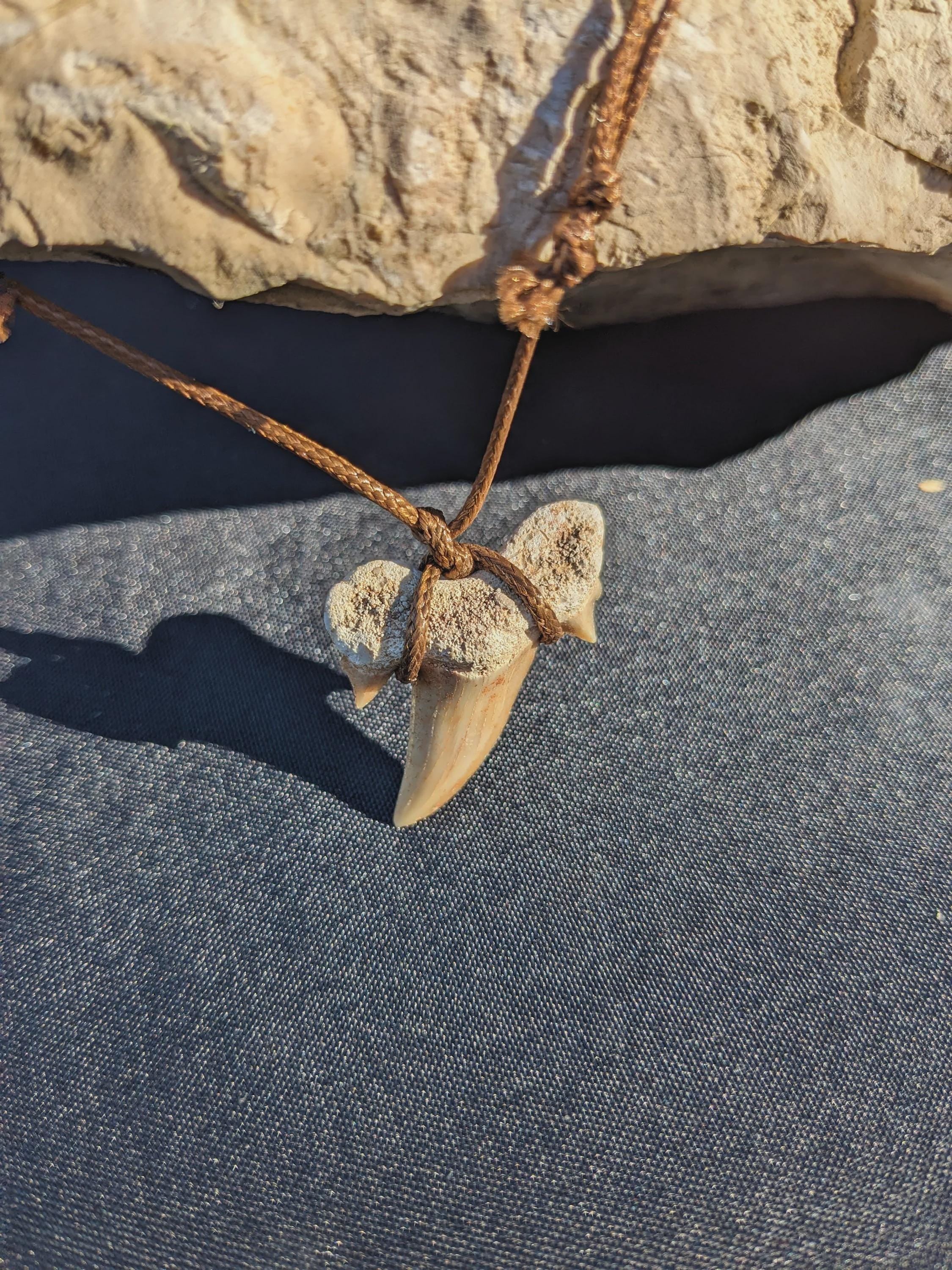 Fossile de dent de requin, collier de dents de requin fossiles, cristaux et minéraux rares pour la lithothérapie, la collection et cadeaux.