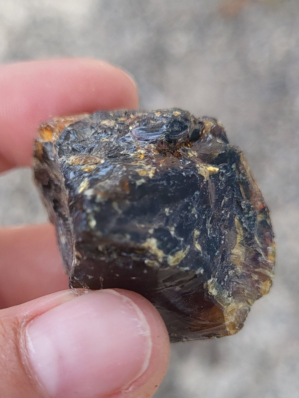 Ambre brut de la Baltique, véritable fossile végétal, pièce d'ambre pour collection de minéraux, lithothérapie ou décoration de la maison