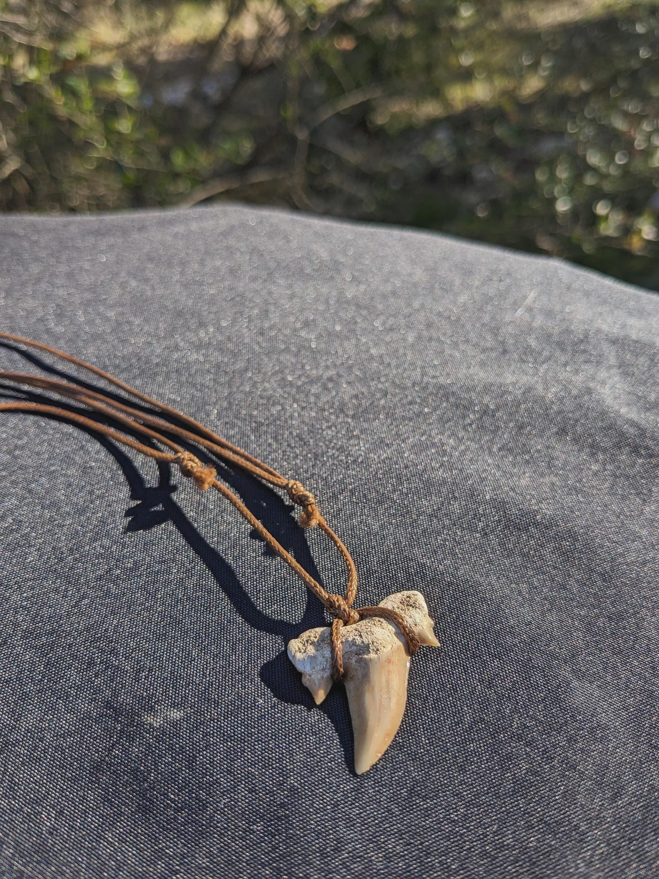 Fossile de dent de requin, collier de dents de requin fossiles, cristaux et minéraux rares pour la lithothérapie, la collection et cadeaux.