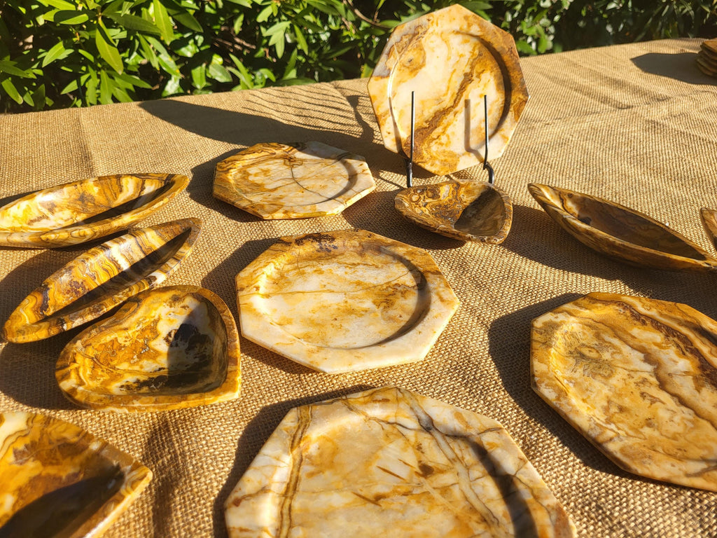 Assiette, plat original de granit fossile avec Ammonites et Orthocéras, objet de collection et de décoration pour la maison et table de noël