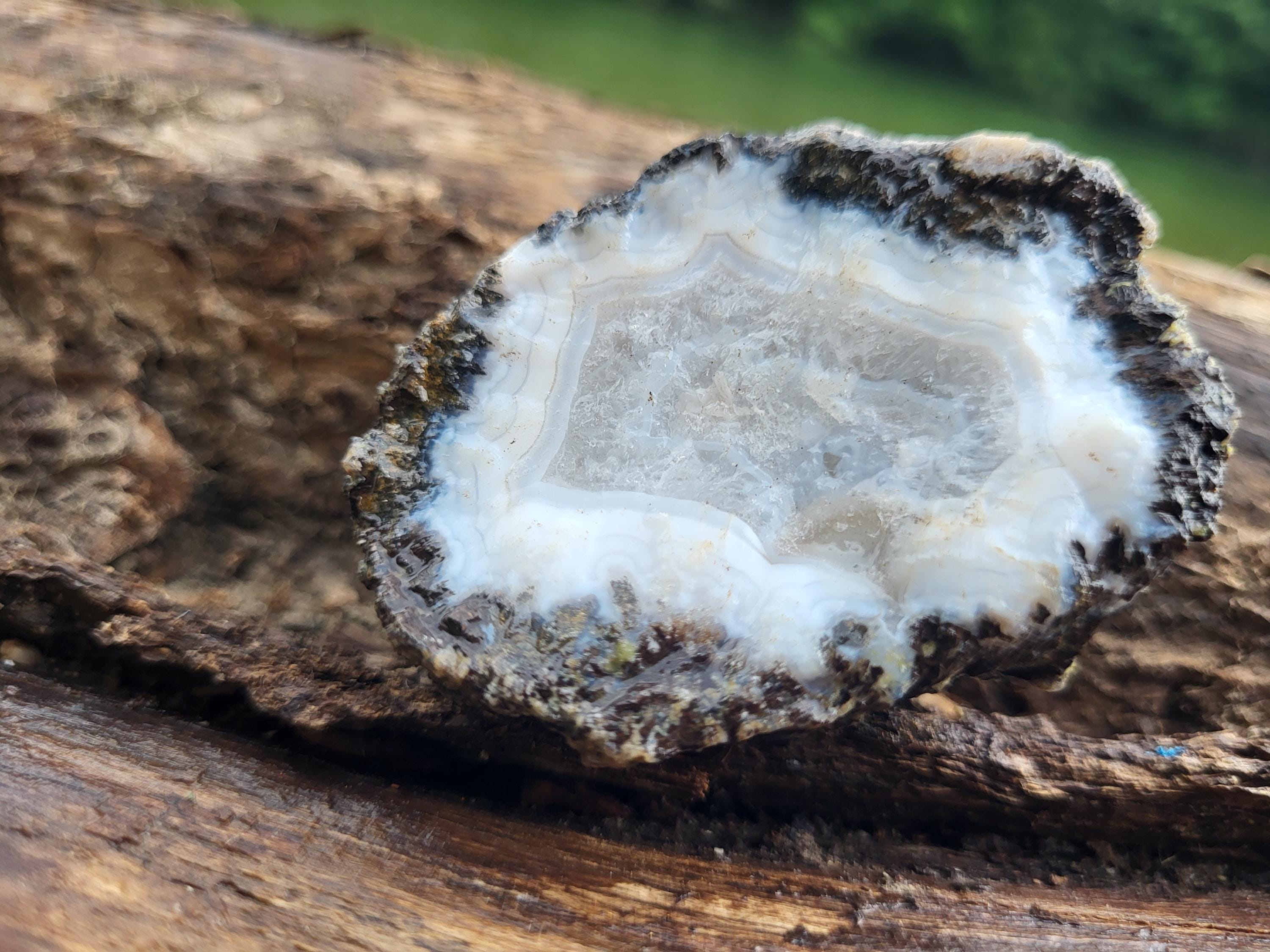 Géode d'agate coco du Mexique, géode de cristal naturel, pour lithothérapie, soin par les pierres, collection et décoration de la maison