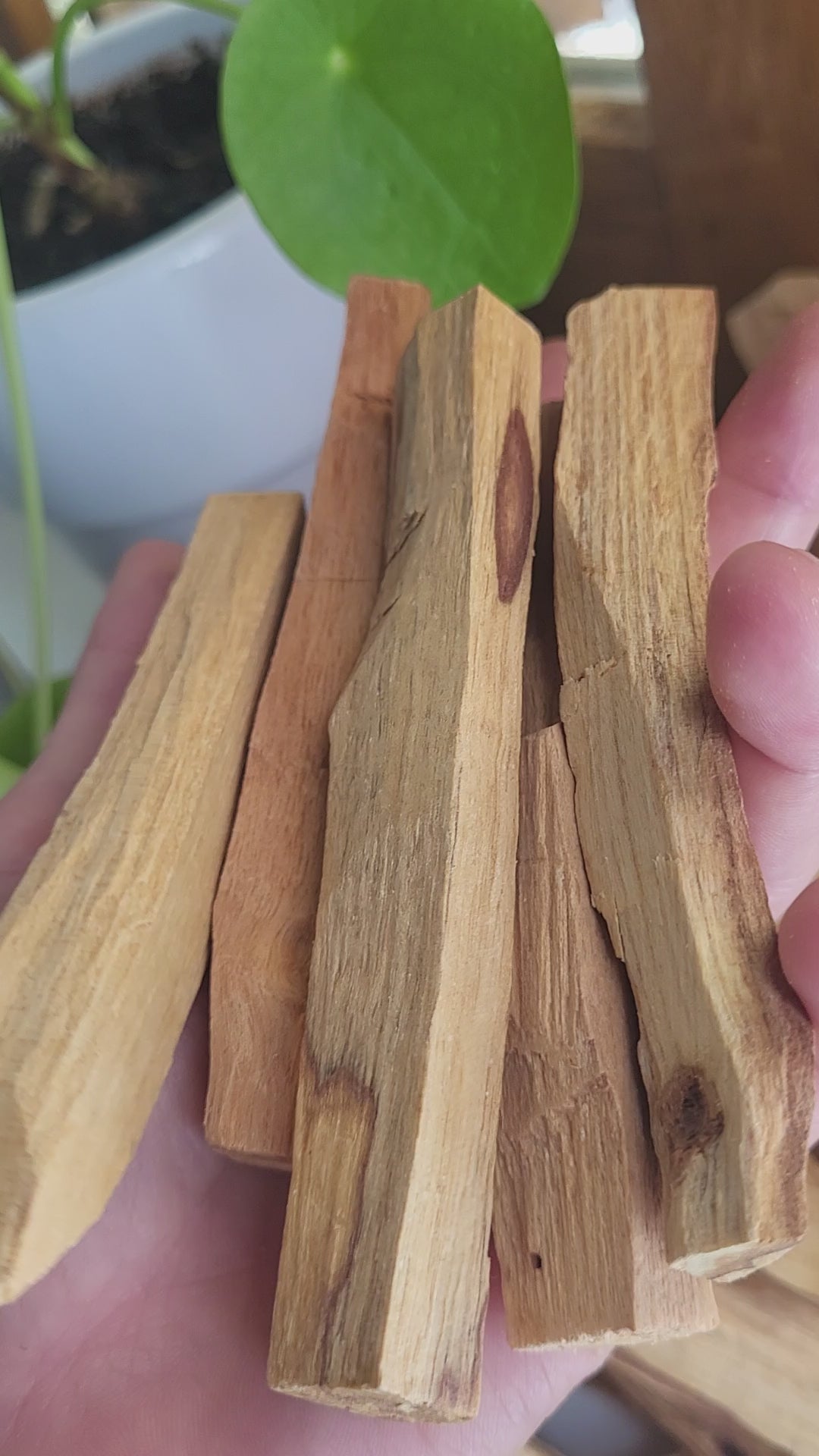 5 Bâtons de Palo Santo, pour purification en lithothérapie, gemme semi-précieuses, pierres précieuses naturelles, pierres naturelles brutes