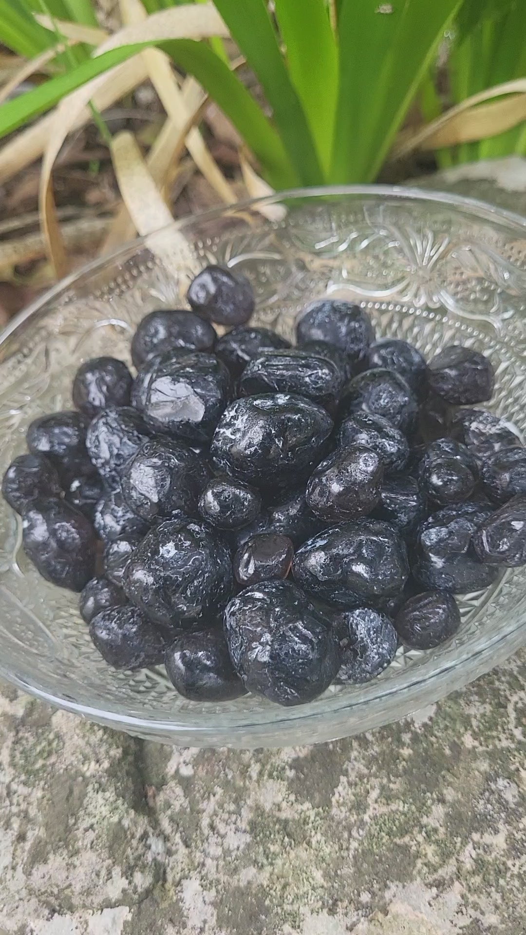 Pierre de larme apache, Apache Tear, pierre d'obsidienne brute, cristal de guérison et pierre de deuil.