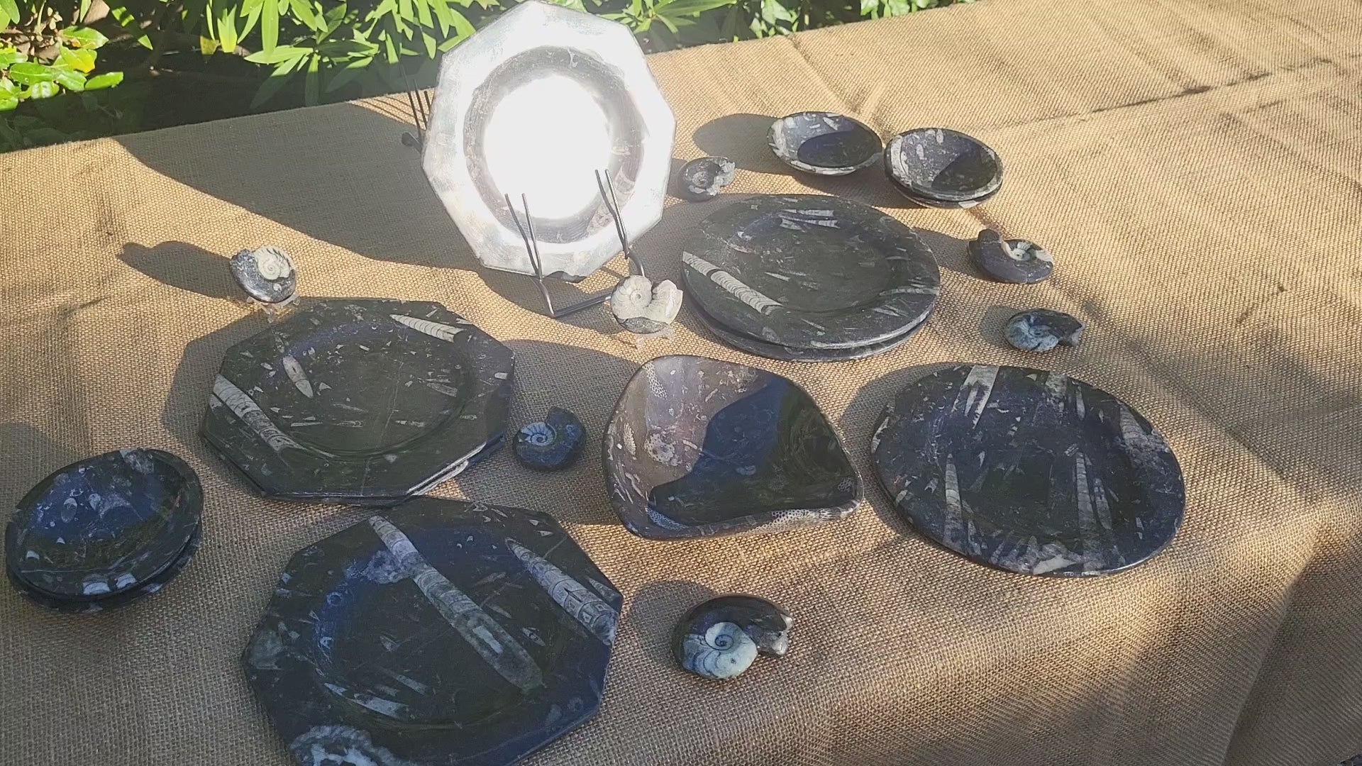 Assiette, plat original de granit fossile avec Ammonites et Orthocéras, objet de collection et de décoration pour la maison et table de noël