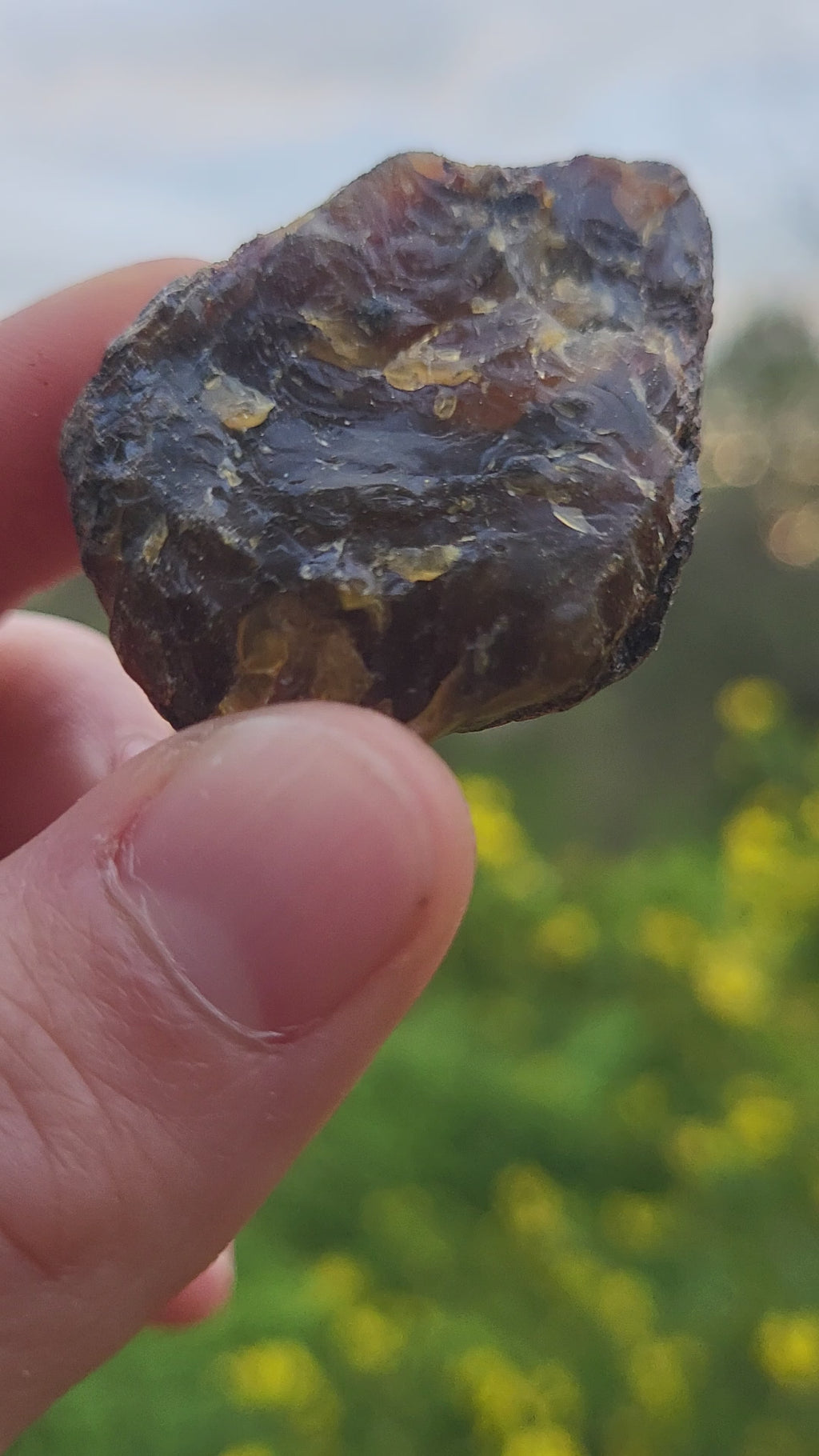 Ambre brut de la Baltique, véritable fossile végétal, pièce d'ambre pour collection de minéraux, lithothérapie ou décoration de la maison